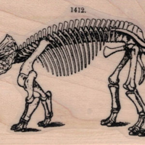 Triceratops Skeleton 2 x 3 1/2-0