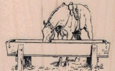 Horse At Trough 3 x 2