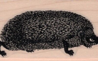 Hedgehog 1 1/2 x 2 1/2